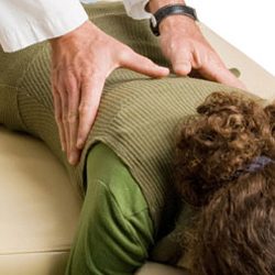 Chiropractic Richmond VA Spinal Manipulative Therapy Services
